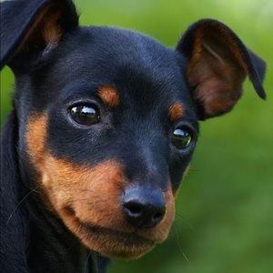 Meet your Posher, Janel